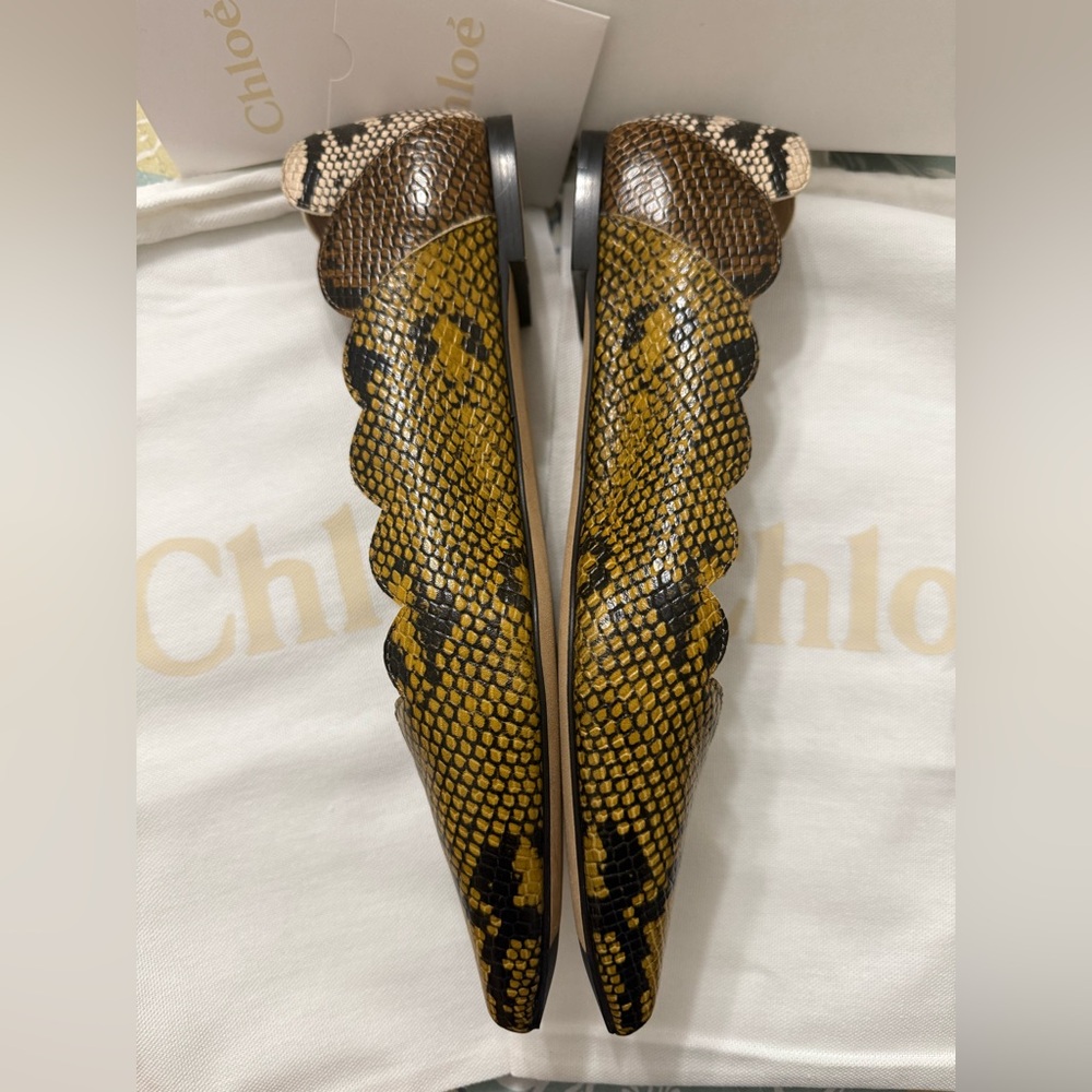 Chloe Leather Ballet Flats Python Scalloped Multicolored Size 9.5 New in Box